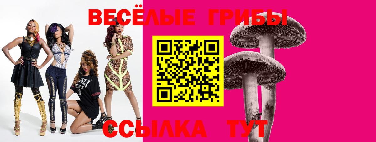 дарнет шоп  Вход с VPN  Галлюциногенные грибы MAGIC MUSHROOMS  Асино  Галлюциногенные грибы мицелий 
