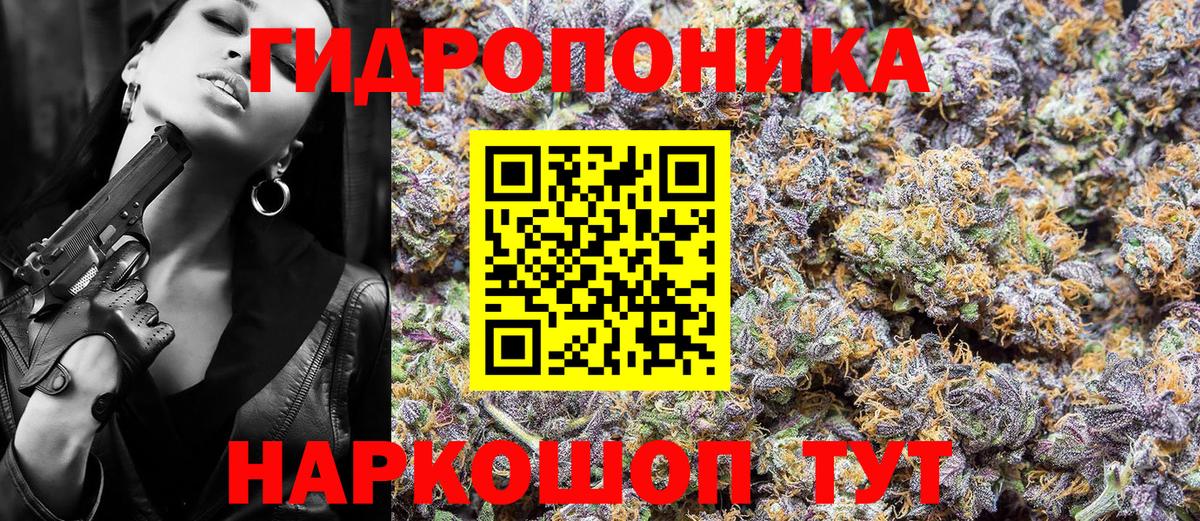 Асино  Канабис планчик  Бошки марихуана VHQ  Бошки марихуана гибрид  Вход с VPN  МАРИХУАНА ГИДРОПОН 